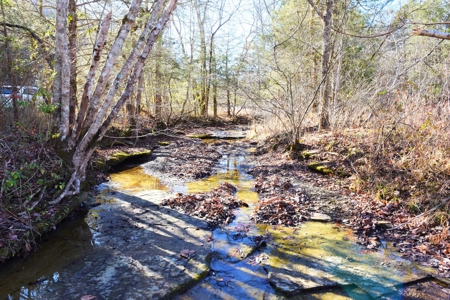 Super Hunting, River, Creeks, Pastures, Very Private, Woods - image 16