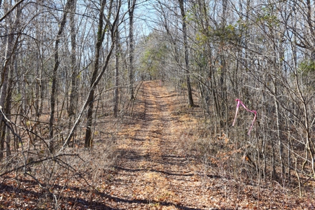 Super Hunting, River, Creeks, Pastures, Very Private, Woods - image 28