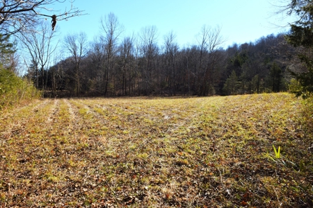 Super Hunting, River, Creeks, Pastures, Very Private, Woods - image 20