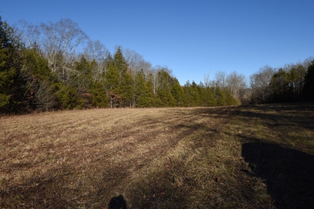 Super Hunting, River, Creeks, Pastures, Very Private, Woods - image 32