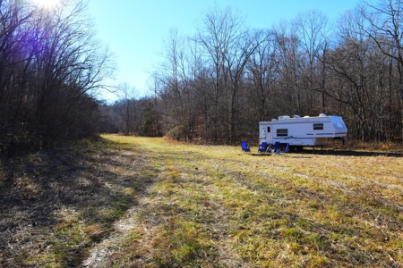 Super Hunting, River, Creeks, Pastures, Very Private, Woods - image 31