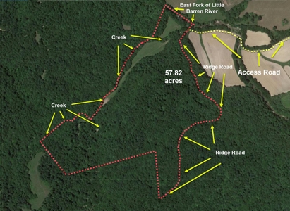 Super Hunting, River, Creeks, Pastures, Very Private, Woods - image 47