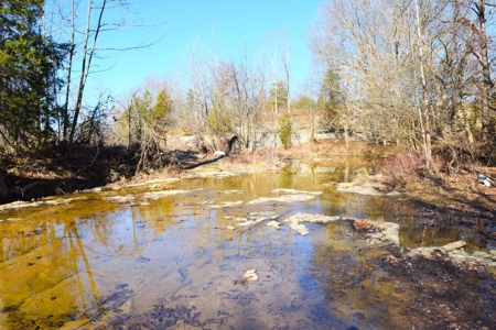 Super Hunting, River, Creeks, Pastures, Very Private, Woods - image 9