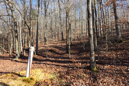 Super Hunting, River, Creeks, Pastures, Very Private, Woods - image 39