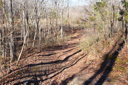 Super Hunting, River, Creeks, Pastures, Very Private, Woods - image 24