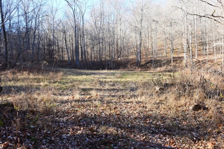Super Hunting, River, Creeks, Pastures, Very Private, Woods - image 43
