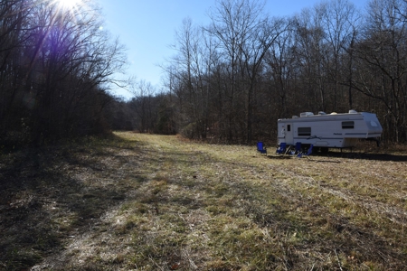 Super Hunting, River, Creeks, Pastures, Very Private, Woods - image 33