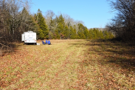 Super Hunting, River, Creeks, Pastures, Very Private, Woods - image 37