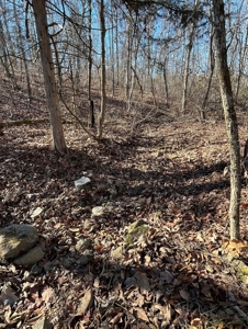 Land For Sale In Beautiful Eminence, Missouri - image 14