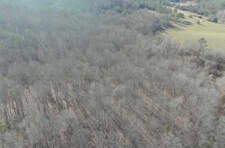 Land For Sale In Beautiful Eminence, Missouri - image 22