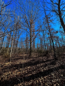 Land For Sale In Beautiful Eminence, Missouri - image 8