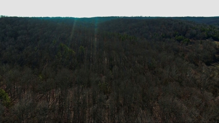 Land For Sale In Beautiful Eminence, Missouri - image 32