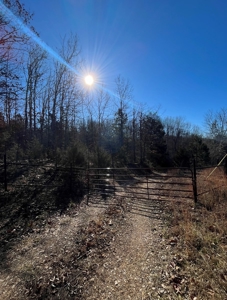 Land For Sale In Beautiful Eminence, Missouri - image 2