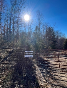 Land For Sale In Beautiful Eminence, Missouri - image 18