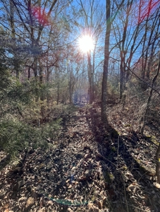 Land For Sale In Beautiful Eminence, Missouri - image 17