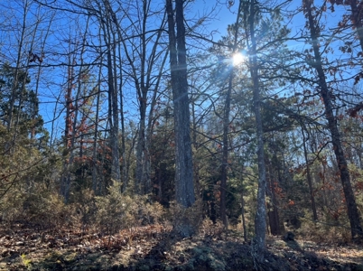Land For Sale In Beautiful Eminence, Missouri - image 6