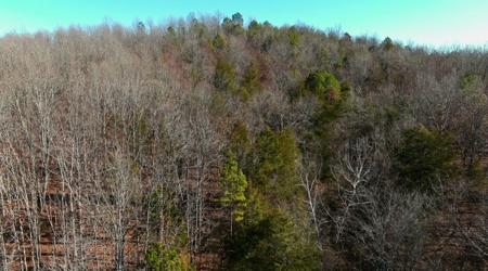 Land For Sale In Beautiful Eminence, Missouri - image 29