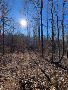 Land For Sale In Beautiful Eminence, Missouri - image 13
