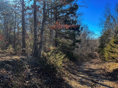 Land For Sale In Beautiful Eminence, Missouri - image 4