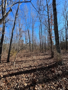 Land For Sale In Beautiful Eminence, Missouri - image 11