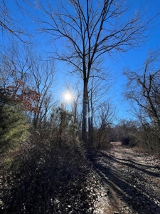 Land For Sale In Beautiful Eminence, Missouri - image 15