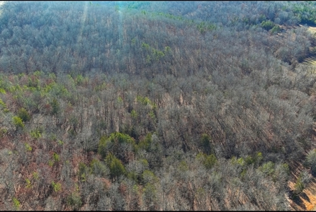Land For Sale In Beautiful Eminence, Missouri - image 20