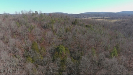 Land For Sale In Beautiful Eminence, Missouri - image 31