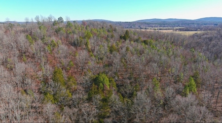 Land For Sale In Beautiful Eminence, Missouri - image 30