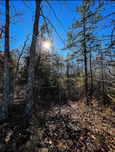 Land For Sale In Beautiful Eminence, Missouri - image 5