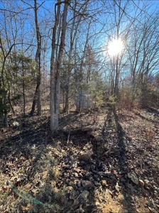 Land For Sale In Beautiful Eminence, Missouri - image 16