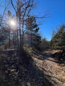 Land For Sale In Beautiful Eminence, Missouri - image 3