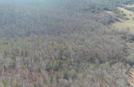 Land For Sale In Beautiful Eminence, Missouri - image 25