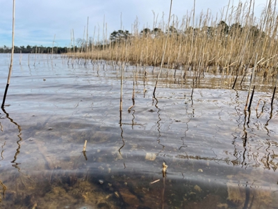 Waterfront Lot for Sale Beaufort NC - image 33