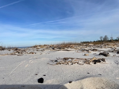 Waterfront Lot for Sale Beaufort NC - image 39