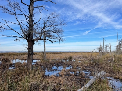 Waterfront Lot for Sale Beaufort NC - image 14