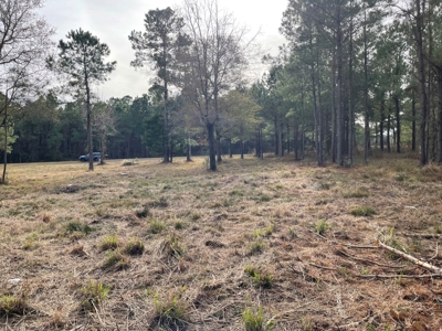 Waterfront Lot for Sale Beaufort NC - image 22