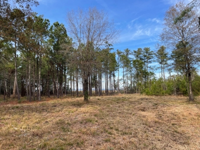 Waterfront Lot for Sale Beaufort NC - image 24