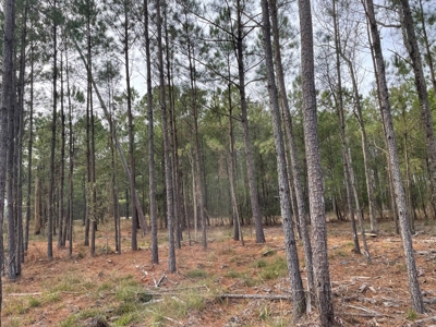 Waterfront Lot for Sale Beaufort NC - image 21