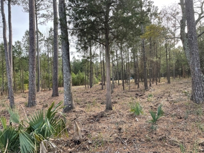 Waterfront Lot for Sale Beaufort NC - image 19