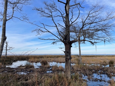 Waterfront Lot for Sale Beaufort NC - image 15