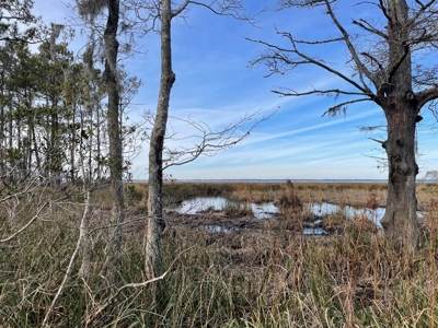 Waterfront Lot for Sale Beaufort NC - image 18