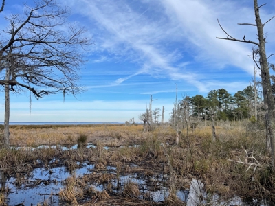 Waterfront Lot for Sale Beaufort NC - image 16