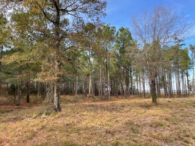 Waterfront Lot for Sale Beaufort NC - image 23
