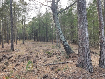 Waterfront Lot for Sale Beaufort NC - image 20
