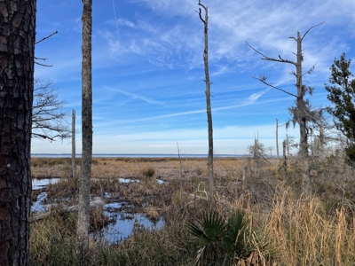 Waterfront Lot for Sale Beaufort NC - image 13