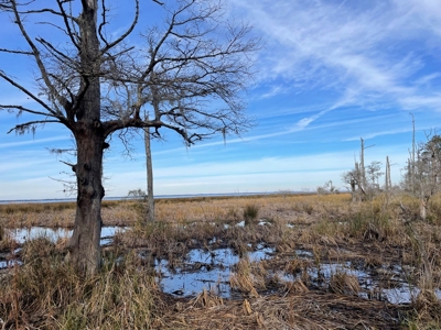 Waterfront Lot for Sale Beaufort NC - image 17