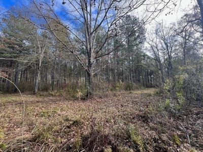 Unique Recreational Tract in SW MS with 6 Ponds - image 35