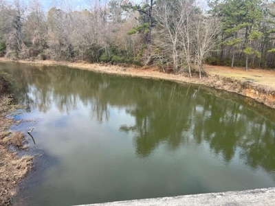 Unique Recreational Tract in SW MS with 6 Ponds - image 40