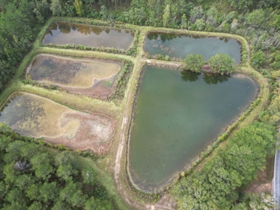 Unique Recreational Tract in SW MS with 6 Ponds - image 20