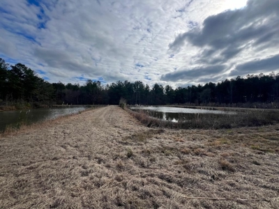 Unique Recreational Tract in SW MS with 6 Ponds - image 25